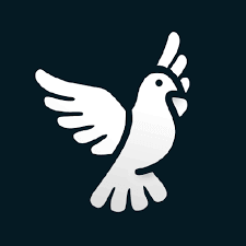 Byedpi APK v1.2.0
