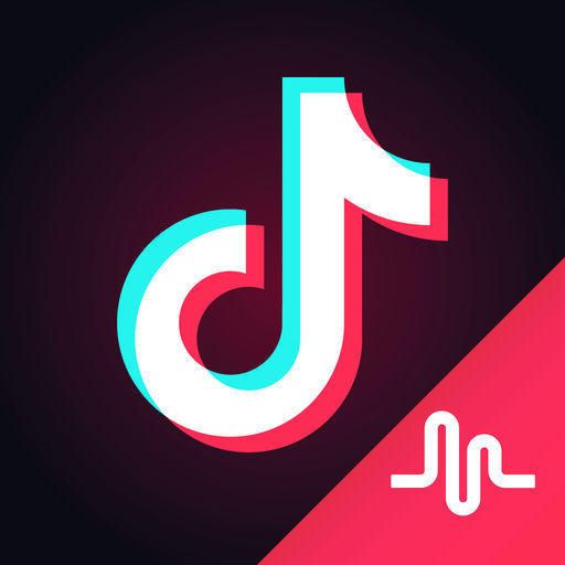 Rotoscope Filter Remover APK v19.2.0